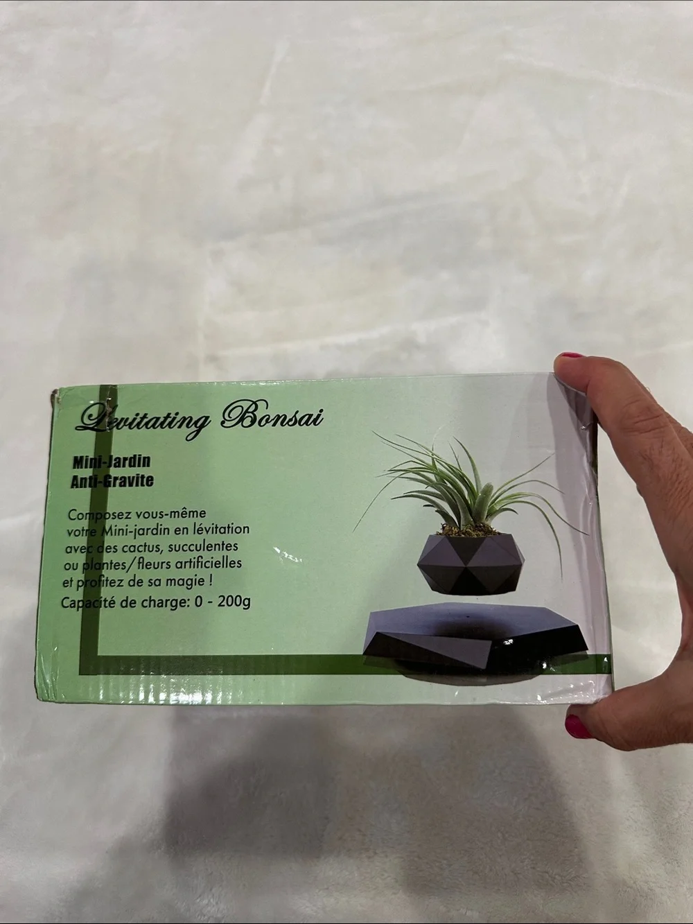 Levitating Bonsai Magnetic Planter - Pink Flower